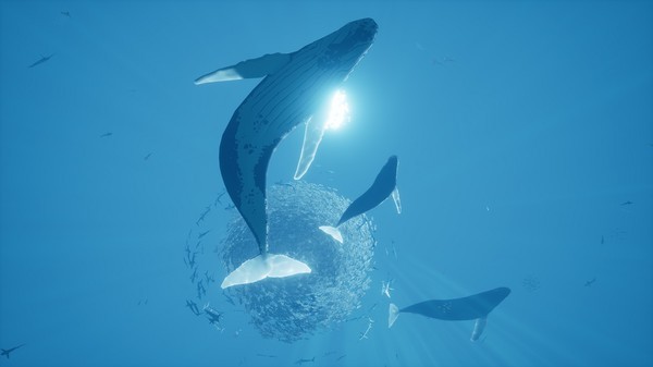 ABZU Screenshot #2