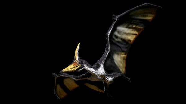 Primal Carnage - Dinosaur Skin Pack 3 Screenshot #2