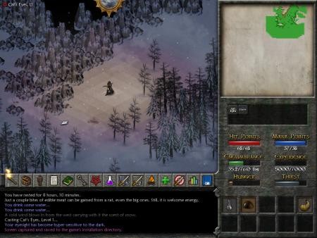 Eschalon: Book II Screenshot #2