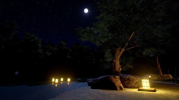 VRNinja Screenshot #3