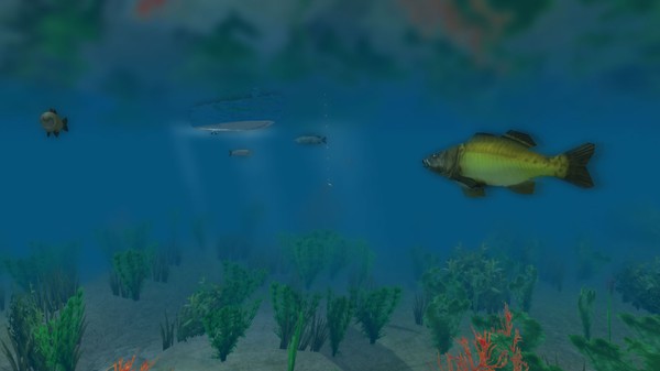 European Fishing Screenshot #2