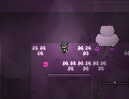 DashBored Screenshot #1