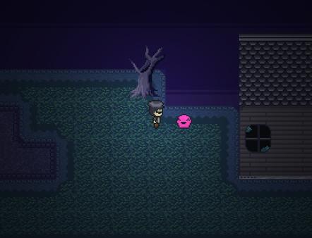 DashBored Screenshot #2