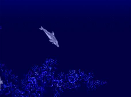 Ecco the Dolphin™ Screenshot #2