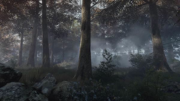 The Vanishing of Ethan Carter VR Screenshot #3