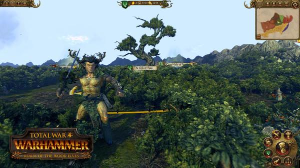 Total War: Warhammer - Realm of The Wood Elves Screenshot #1