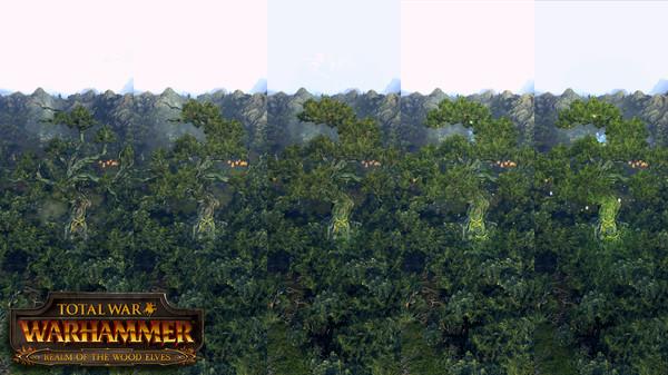 Total War: Warhammer - Realm of The Wood Elves Screenshot #2