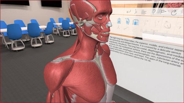 3D Organon VR Anatomy Screenshot #2