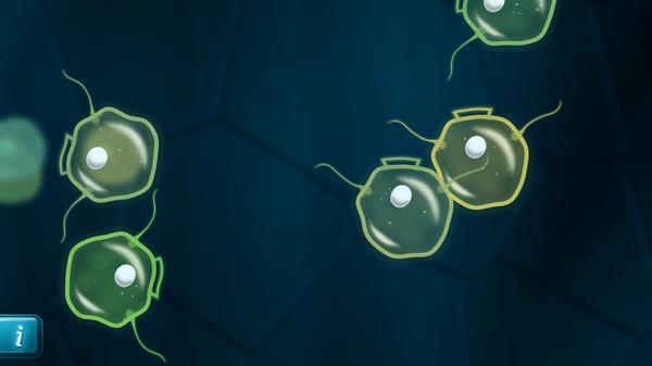Mitosis Screenshot #2