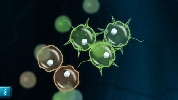 Mitosis Screenshot #3