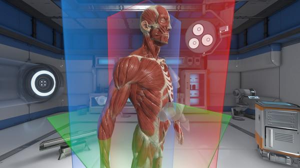 The Physiology of the Eye Screenshot #3