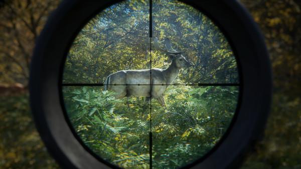 theHunter: Call of the Wild Screenshot #1