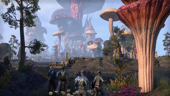 The Elder Scrolls Online: Morrowind Upgrade Screenshot #1