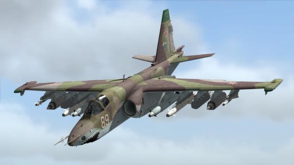 DCS: Su-25 Frogfoot Screenshot #2