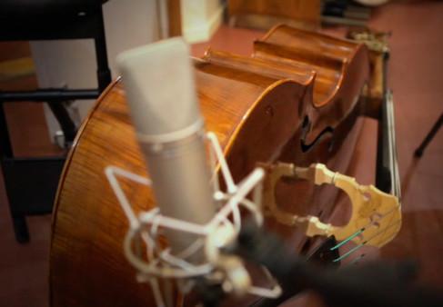 Crusader Kings II: Orchestral House Lords Screenshot #2