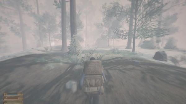 Northern Regime Screenshot #2