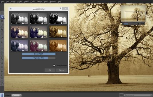 Pixeluvo Screenshot #3