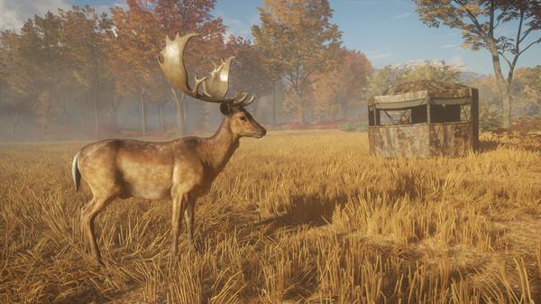 theHunter: Call of the Wild - Tents & Ground Blinds Screenshot #1