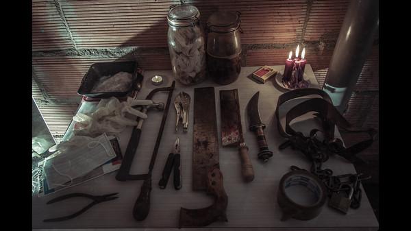 The Fan Screenshot #2