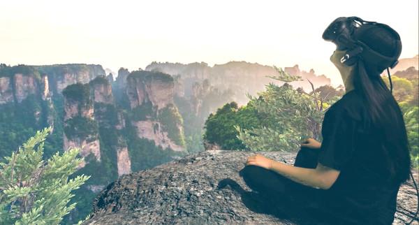 WiseMind Screenshot #3