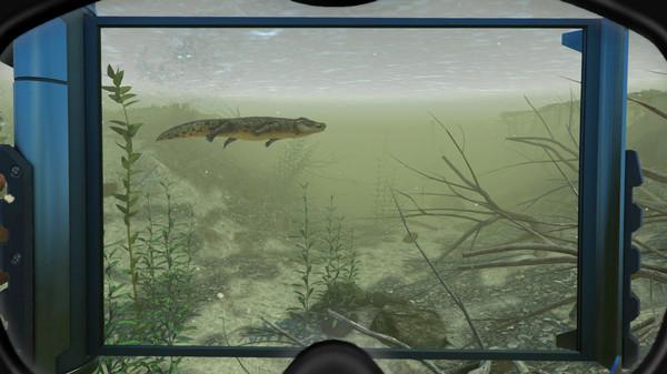World of Diving Screenshot #1