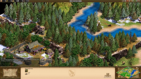 Age of Empires II HD Screenshot #2