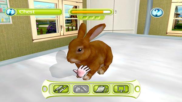 My Vet Practice Screenshot #2